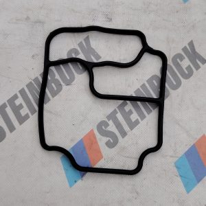 Empaquetadura cuerpo filtro aceite motores BMW 6L M50 M52 M54 S50